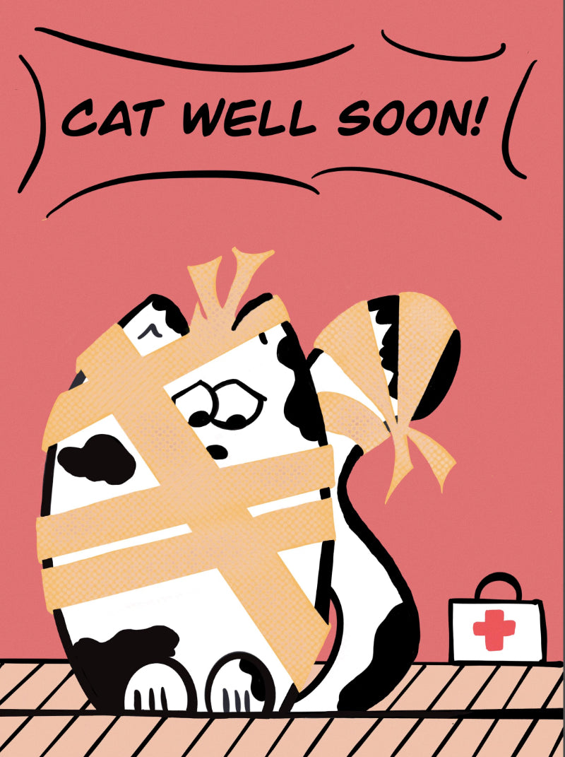 Cat well soon!