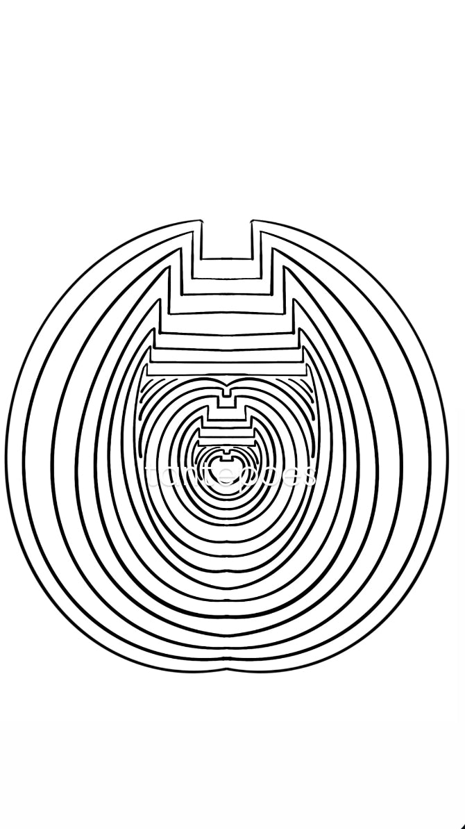 ON REQUEST! Cat in Cat